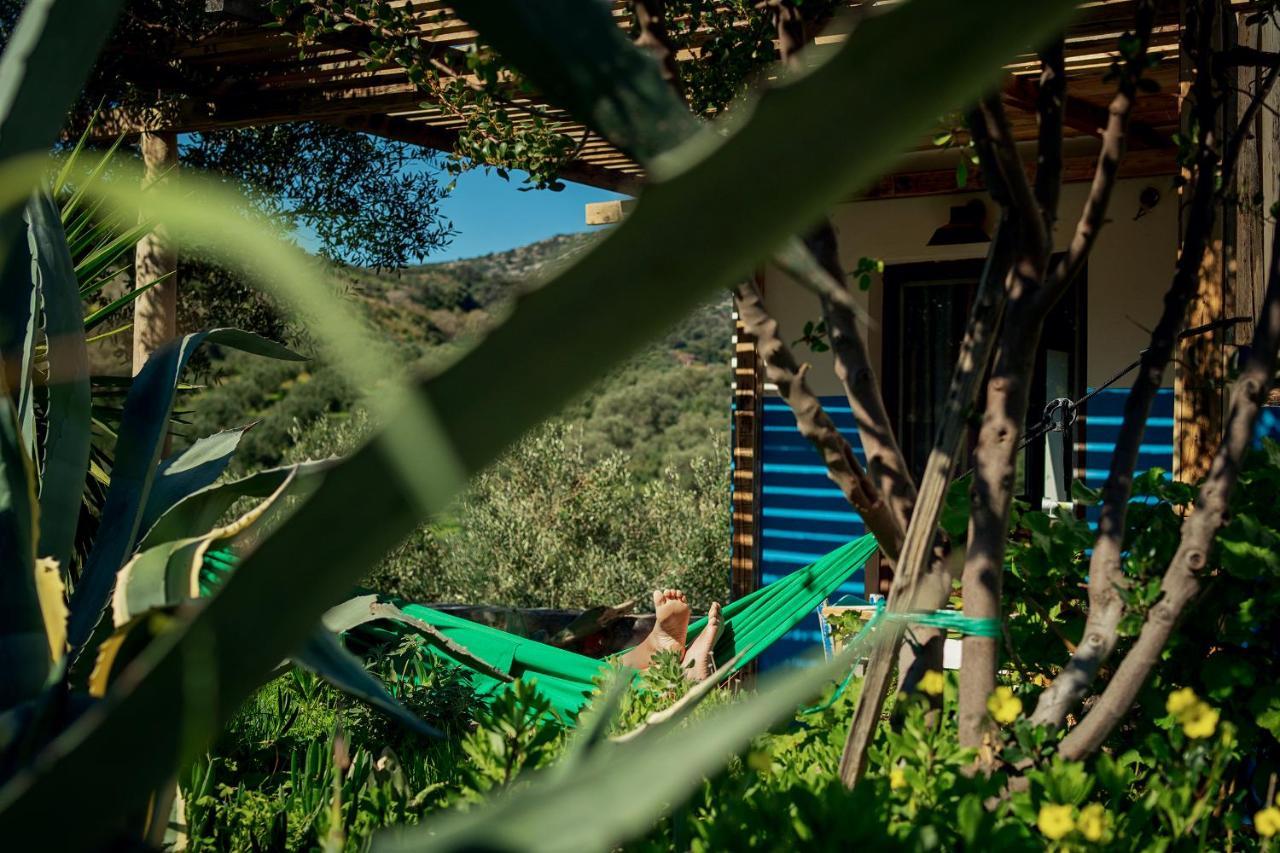 saveriako, paradise for relaxed free spirits Villa Agia Pelagia Eksteriør bilde