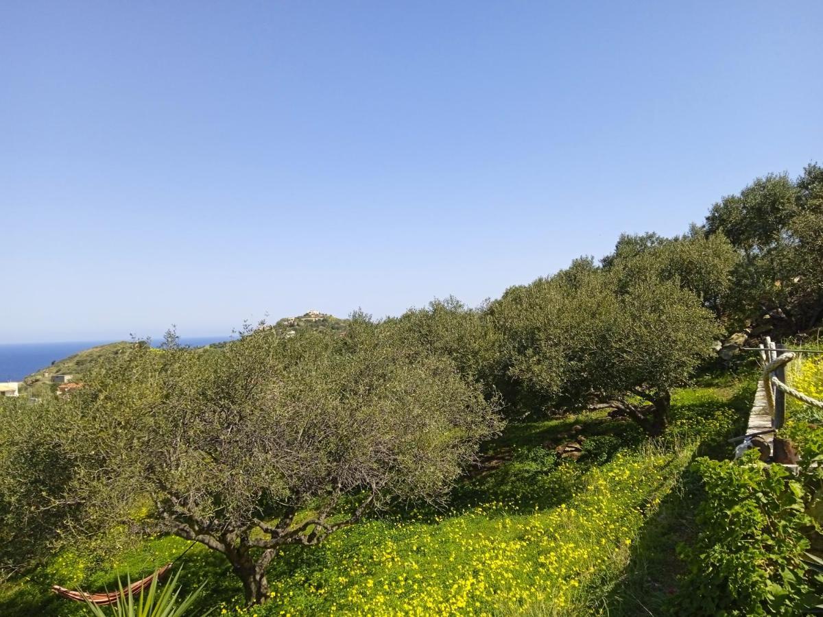 saveriako, paradise for relaxed free spirits Villa Agia Pelagia Eksteriør bilde
