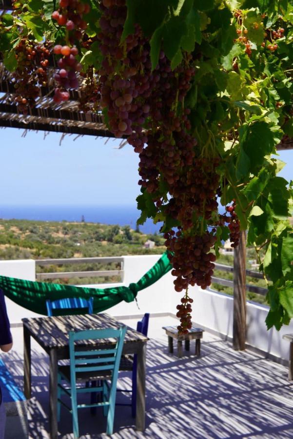 saveriako, paradise for relaxed free spirits Villa Agia Pelagia Eksteriør bilde