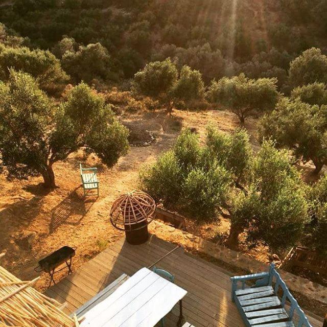 saveriako, paradise for relaxed free spirits Villa Agia Pelagia Eksteriør bilde